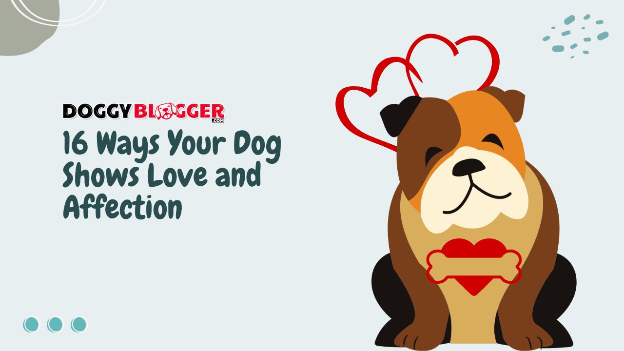 16 Ways Your Dog Shows Love and Affection