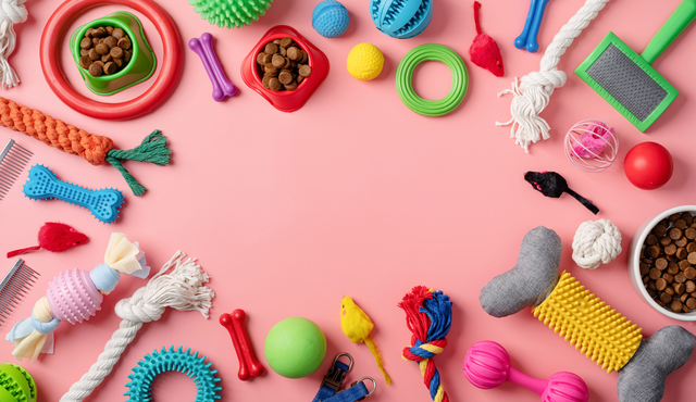 3 Types of Toys Your Dog Must Have