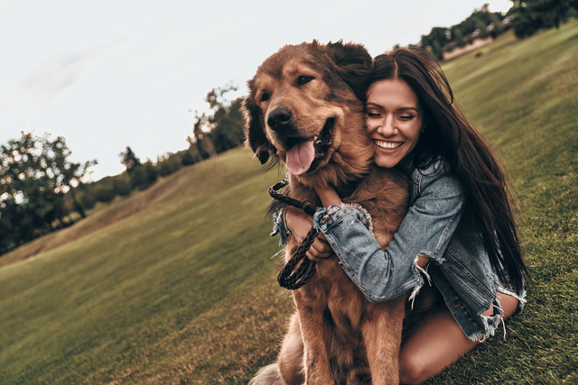 Lean On Me - one of the ways dogs show love and affection