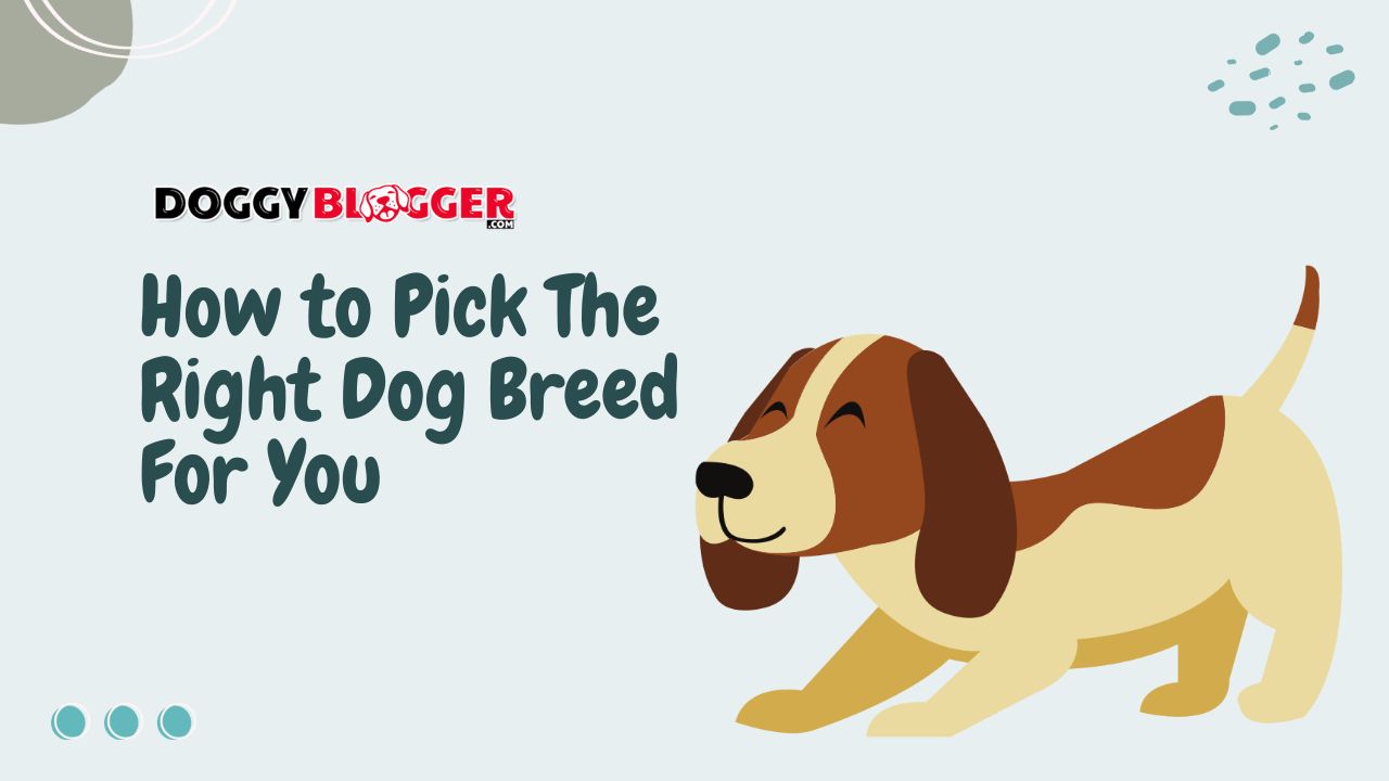 How to Pick The Right Dog Breed For You