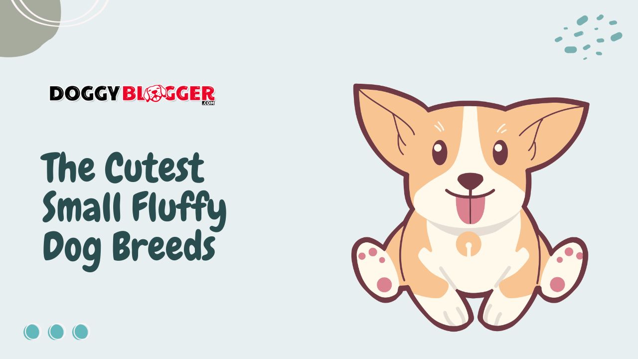 The Cutest Small Fluffy Dog Breeds