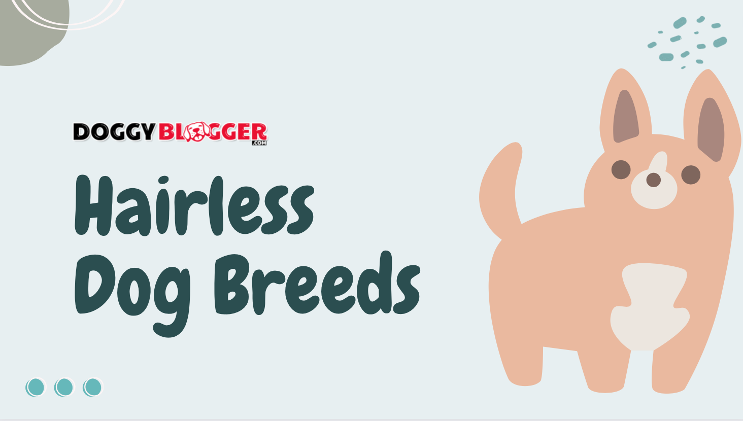 hairless dog breeds