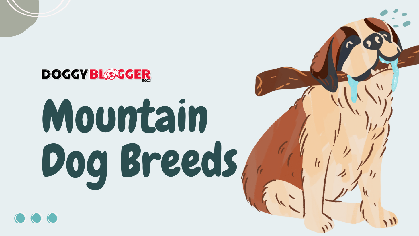 mountain dog breeds