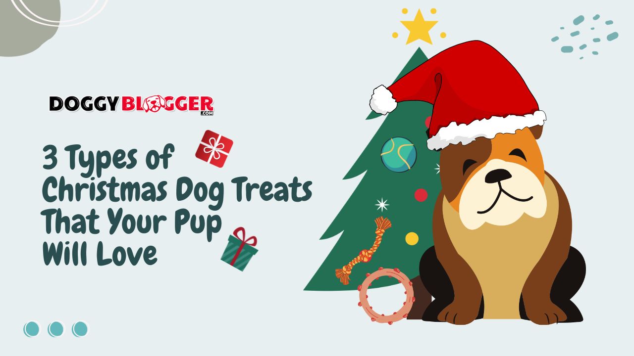 3 Types of Christmas Dog Treats That Your Pup Will Love