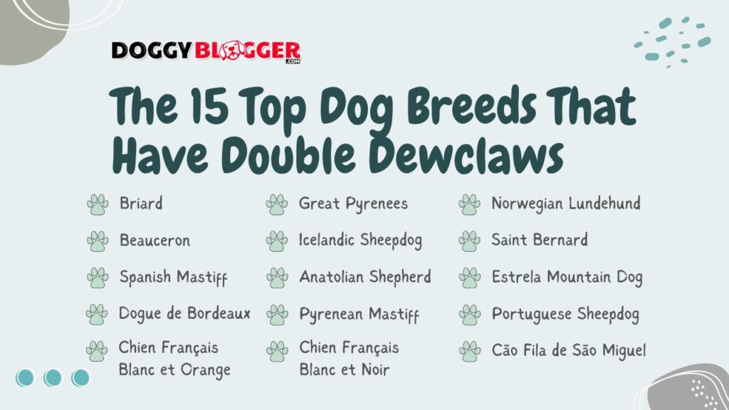 What Dog Breeds Have Double Dewclaws? Top 15 breeds 