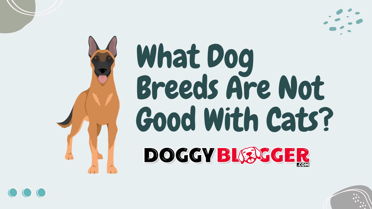 What Dog Breeds Are Not Good With Cats?