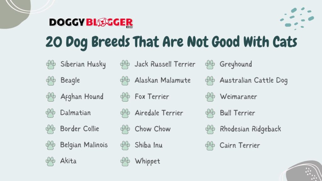 The 20 Dog Breeds That Are Not Good With Cats 