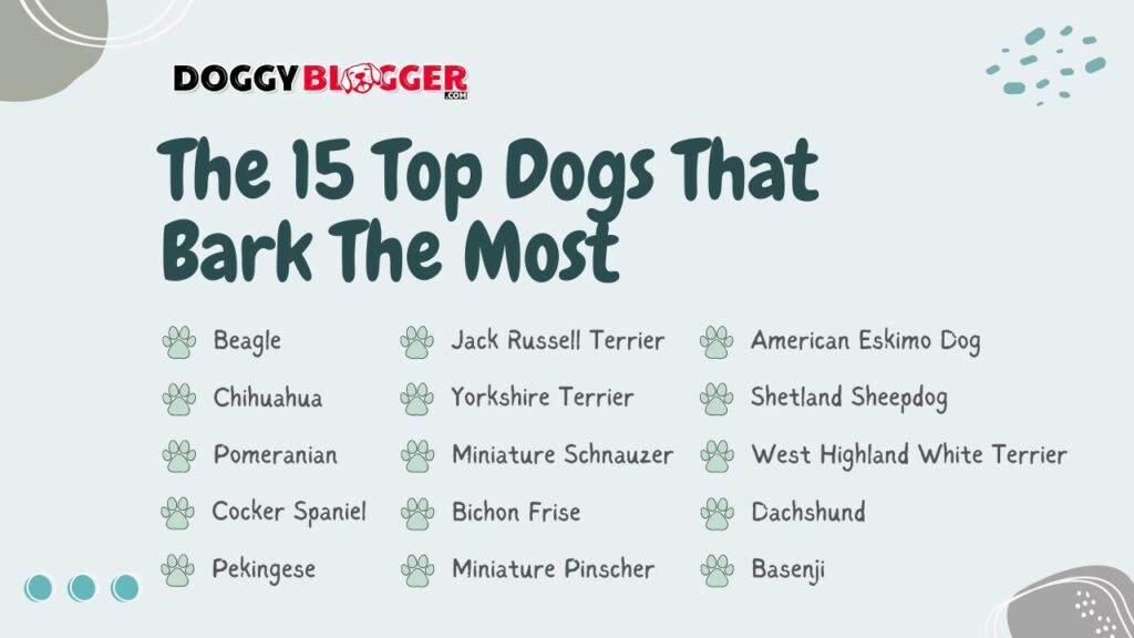 What Dog Breeds Bark The Most?