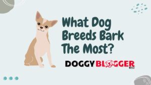 What Dog Breeds Bark The Most?