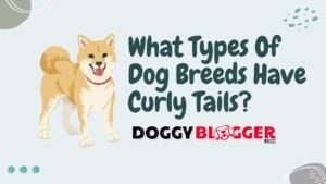 What Types Of Dog Breeds Have Curly Tails