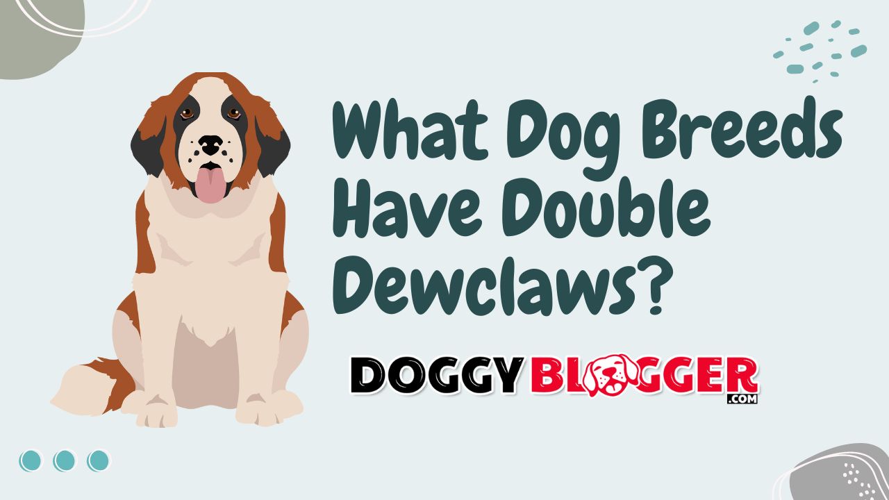 What Dog Breeds Have Double Dew Claws?