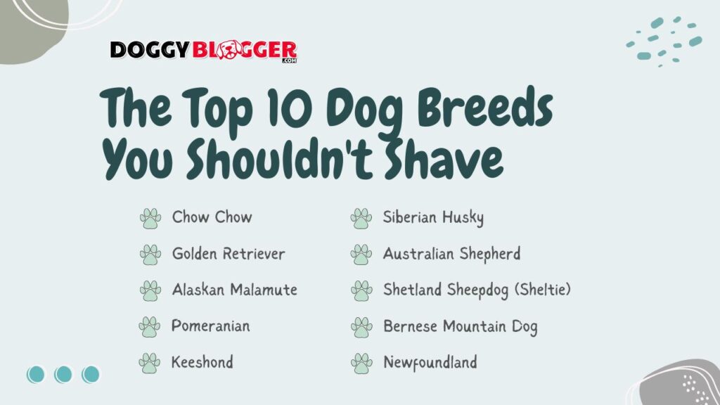 The Top 10 Canine Companions You Shouldn't Shave