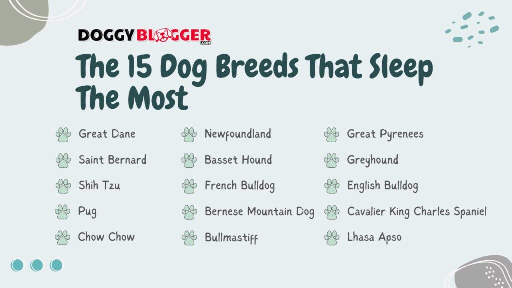 Meet The 15 Dog Breeds That Sleep The Most!