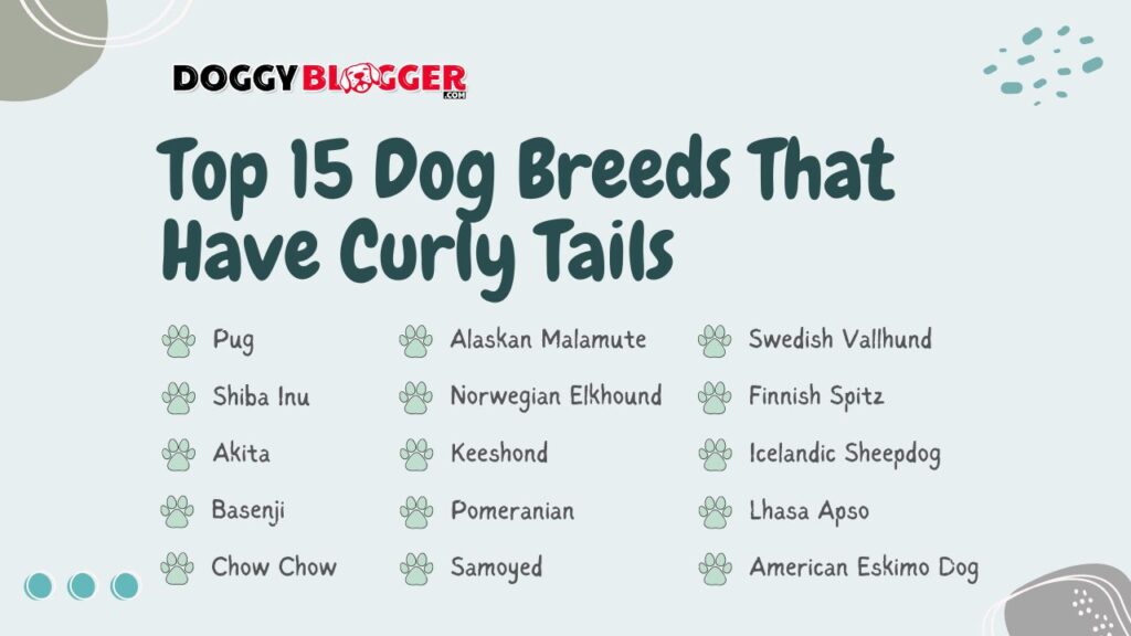 The Top 15 Dog Breeds That Have Curly Tails